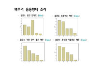 [마케팅조사] 맥스 Max의 시장 확산 전략 수립-19