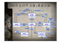 AIS의 논리적 모델-3