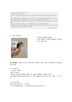 [마케팅] 닌텐도의 환경분석을 통한 STP전략과 4P전략 수립-12