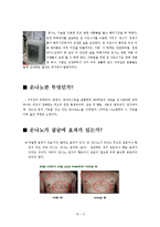 [무역창업] 은나노 샤워기 해외시장조사-4