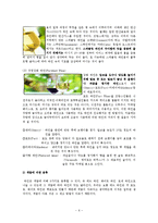 [호텔경영] 와인-6