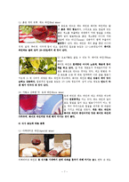 [호텔경영] 와인-7