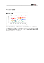 한국과 BRICs 레포트-4