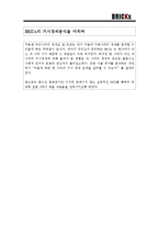 한국과 BRICs 레포트-10