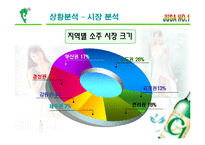 C1 시원소주 광고전략-19
