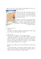 [건강가정론] 아이돌보미 프로그램 조사-3