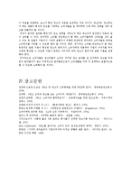 TV광고와 대중심리와의 상관관계에 대한 고찰-18