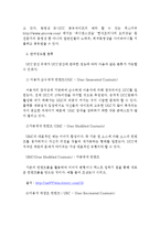 오락적 기능이 극화된 UCC 생산의 일원화가 가져오는 한계-9