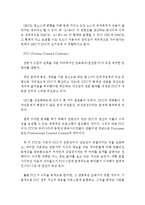 오락적 기능이 극화된 UCC 생산의 일원화가 가져오는 한계-10