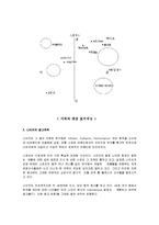 [마케팅] [스포츠마케팅]‘나이키(Nike)’ 마케팅전략 분석 및 크리에이티브전략(A+리포트)-16
