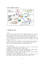 [교육학] 오수벨(Ausubel)의 유의미학습이론분석-8