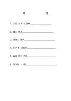 [마케팅] 파파이스 마케팅 전략-1