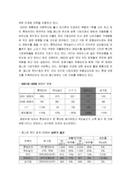 [마케팅] 파파이스 마케팅 전략-6