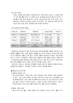 [마케팅] 파파이스 마케팅 전략-8