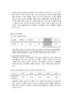 [마케팅] 파파이스 마케팅 전략-9