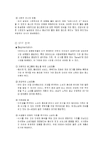 [마케팅] 파파이스 마케팅 전략-10