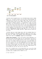 [경영전략] 오리온 그룹의 다각화 전략-7