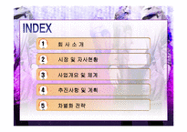 [창업론] [창업론]여성의류 쇼핑몰 사업계획서(A+리포트)-2