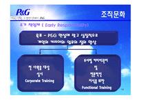 [조직이론, 조직구조, 조직문화] p&g 조직이론, 조직구조, 조직문화-18