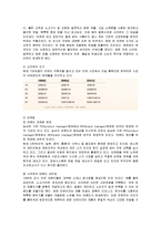 [마케팅] 농심 신(辛)라면의 중국시장진출 마케팅전략-4