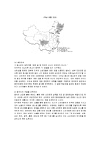 [마케팅] 농심 신(辛)라면의 중국시장진출 마케팅전략-10