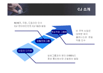 [인적자원관리] CJ그룹의 인사관리와 인재경영-6