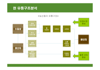 [유통관리론] 농산물의 유통구조 및 문제점 분석과 향후 개선방안-12
