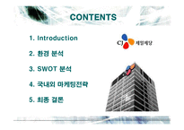 [마케팅] CJ제일제당의 국내외 마케팅전략-2
