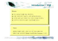 [마케팅] CJ제일제당의 국내외 마케팅전략-8