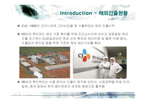 [마케팅] CJ제일제당의 국내외 마케팅전략-12