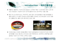 [마케팅] CJ제일제당의 국내외 마케팅전략-13