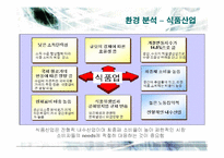 [마케팅] CJ제일제당의 국내외 마케팅전략-17