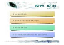 [마케팅] CJ제일제당의 국내외 마케팅전략-18