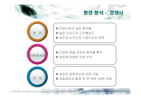 [마케팅] CJ제일제당의 국내외 마케팅전략-19
