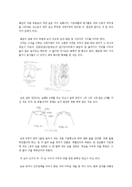 [생물학] 거미의 형태-2