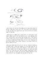 [생물학] 거미의 형태-4