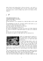 [사회문제] 미국산 쇠고기 수입 전면 개방에 대한 생각-13