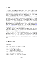 [국제마케팅, 마케팅원론, 국제경영전략, 경영전략] 블루클럽의 국제경영전략-3