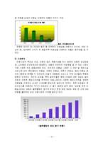 [국제마케팅, 마케팅원론, 국제경영전략, 경영전략] 블루클럽의 국제경영전략-10