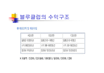 [국제마케팅, 경영전략, 국제경영전략, 마케팅원론] 블루클럽의 마케팅성공전략-3