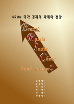 (A학점 우수작)[경제학] BRICs 국가 경제의 과제와 전망-1