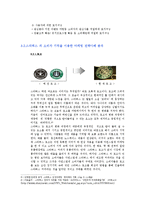 [소비자행동] 스타벅스의 소비자기억을이용한 마케팅전략 사례-6