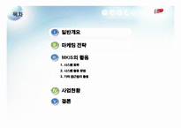 [인터넷비즈니스] [인터넷비즈니스]신규오픈마켓 ’11번가(11st)’의 차별화를 위한 온라인마케팅 전략(A+리포트)-4