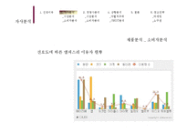 [마케팅관리] [마케팅관리]시장점유율 향상을 위한 삼성MP3 `Yepp` 마케팅전략 분석 및 차별화전략 수립(A+리포트)-10