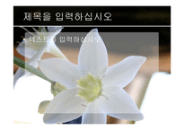 [파워포인트] [템플릿] 하얀꽃-2