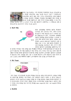 [마케팅] 엘리트(ELITE)_교복 마케팅커뮤니케이션-17