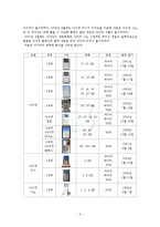 [마케팅관리] 애플 컴퓨터 ‘아이팟 (iPod)’ 국내 시장 마케팅 전략-5