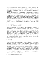 [정책평가, 김대중정부, 정치행정정책, 대북정책, 노동정책] 정책평가의 유형, 정책평가의 방법, 김대중정부의 정치행정정책 평가, 김대중정부의 대북정책 평가, 김대정 정부의 노동정책 평가 분석-5