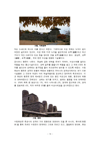 [인문학] 한국전통조경의 수원화성에의 적용과 고찰-13