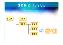 [경영정보, mis] CJ GLS 의 SCM-12